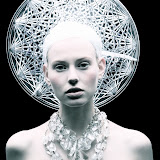 Plastic Fantastic by Tomaas