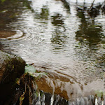 1248534682006 1248534682006