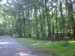 IMG00326-20090810-1058.jpg