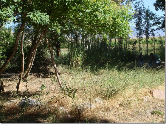304