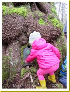 IMG_5650 IMG_5650