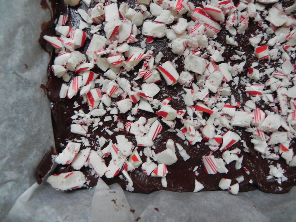 [DSCN9945%255B4%255D.jpg&description=Dark Chocolate Peppermint Fudge')]