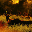 GalleryV1_Website-09.jpg