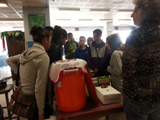 Sharsptown International High School students implementing their Capstone project to help Hashoo Foundation USA's Plan Bee  (2)