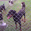 100_8741.jpg