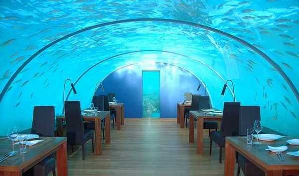 [Ithaa-Underwater-Restaurant-Maldives-6%255B3%255D.jpg]