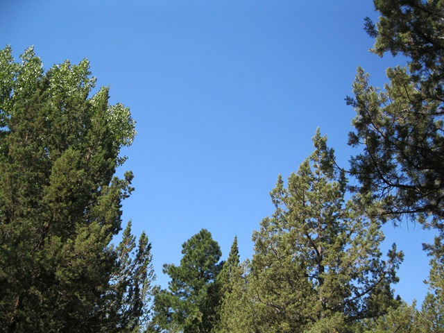 [110802104507H2.jpg]