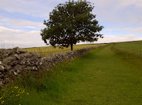 BRO1-11_ANDREA_SCHAFFELL_106.jpg