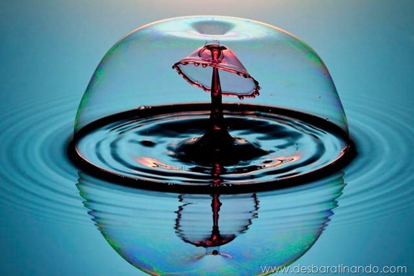 liquid-drop-art-gotas-caindo-foto-velocidade-hora-certa-desbaratinando (125)