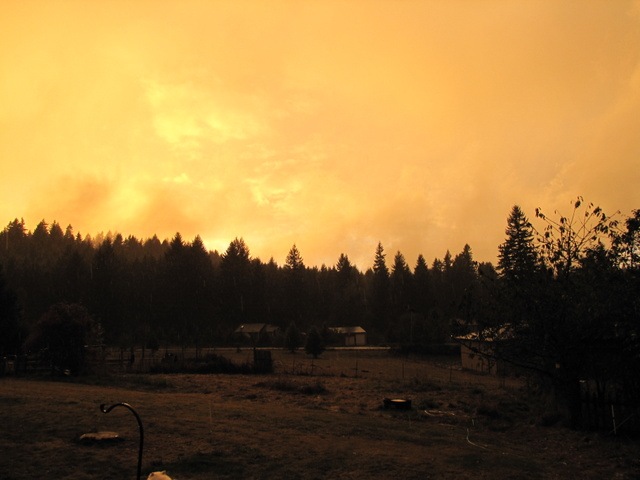 [IMG_1650%255B4%255D.jpg]