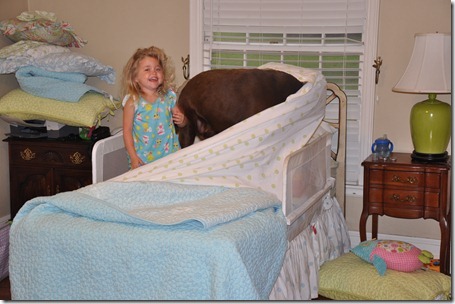 hide and seek 062512 (4)
