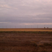 View album