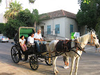 p1252362994(1).jpg