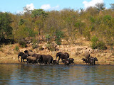 South Africa - 161.JPG