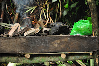 DSC_4411.JPG