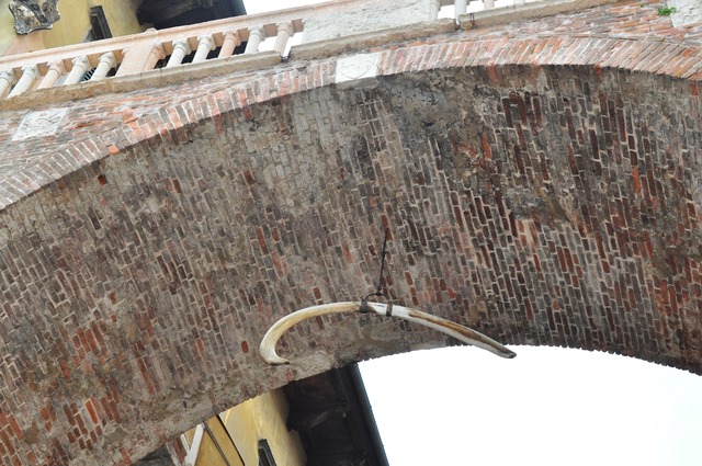 [DSC_0452%255B3%255D.jpg]