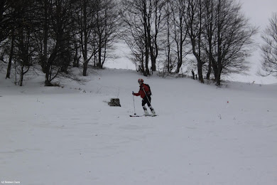 2013.02.02 - Cupa Memoriala 