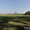 dsc06783.jpg