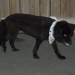 DSCN3572.jpg