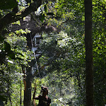 DSC_0245.JPG