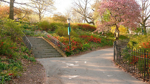 One of the foot path/bike path intersections in Riverside Park awash in daffodils and flowering quince profusion. Oh yeah, and a beautiful crab apple on the right in pink flush.