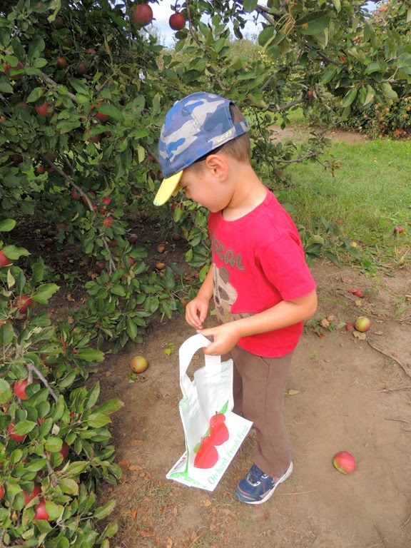 [DSCN0303%255B3%255D.jpg]