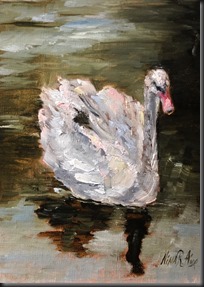 Swan 1