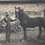 Joel Pack, son of Erastus Frederick Joel Pack, son of Erastus Frederick