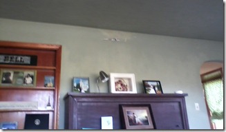 wallpper