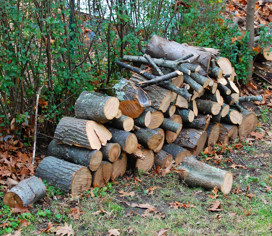 [10.%2520woodpile-kab%255B4%255D.jpg]