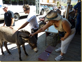 2012-09-27 -2- AZ, Oatman -072