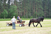 DSC_0425.JPG
