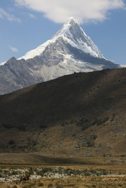 [IMG_5254%255B10%255D.jpg]