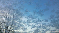 2011-01-04_08-41-50_917.jpg
