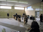I remember this part from training with Trinity and Maddox.  I have to remember to keep focused and ignore the other dogs!