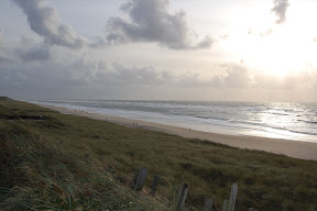 DSC_0096.JPG