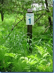 4559 Bass Lake Provincial Park - Waterview Trail hike - Post 1 4559 Bass Lake Provincial Park - Waterview Trail hike - Post 1