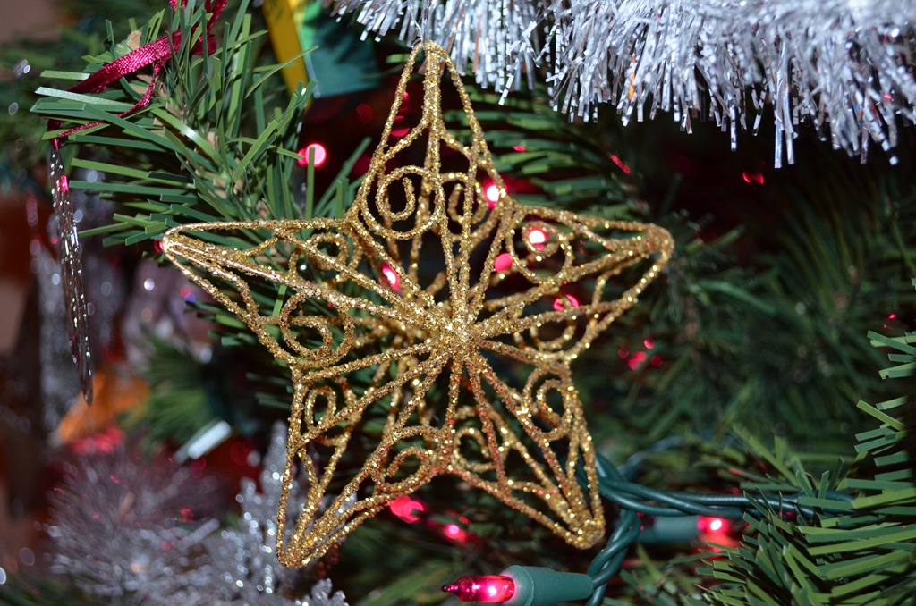 [DSC_0056%255B7%255D.jpg]