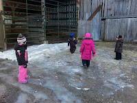 IMG_20130127_161110.jpg