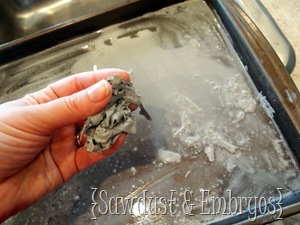 Clean your stencil (Sawdust & Embryos)