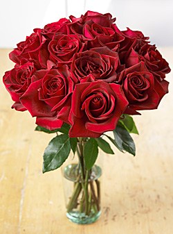 Classic Red Roses