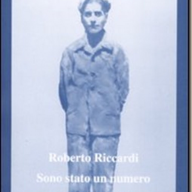 Recensione 'Sono stato un numero' di Roberto Riccardi