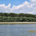 IMG_5534.JPG