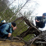 dsc00709.jpg