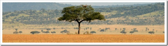 TanzaniaHeadernoText