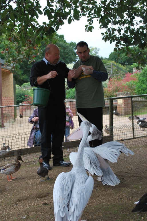 [DSC_0555%255B3%255D.jpg]