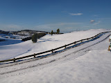 P1010954.JPG
