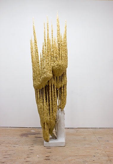 nick van woert 2