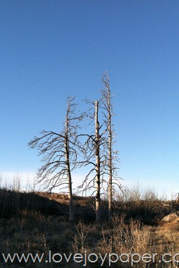 [okanogangirlcountry41%255B5%255D.jpg]