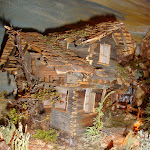 1513-10.JPG